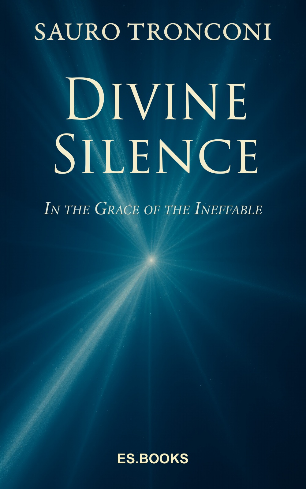 Cover of Divine Silence